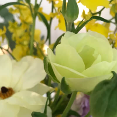 Serene bloemen in warm zonlicht